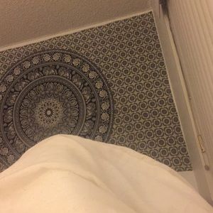 Meet your Posher, Leila